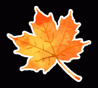 感触感染着多元文化交融的